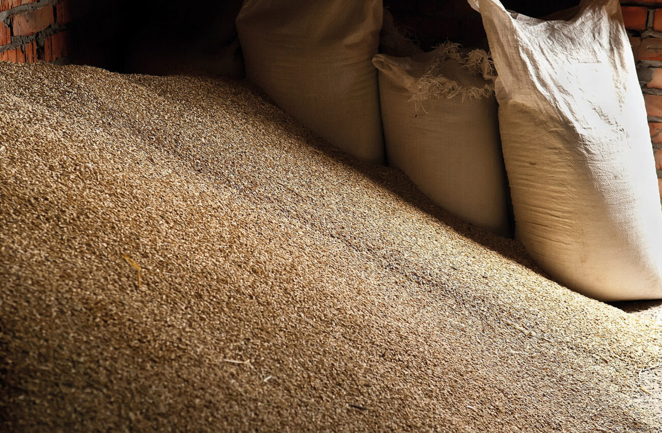 Wheat grains in sacks at mill storage