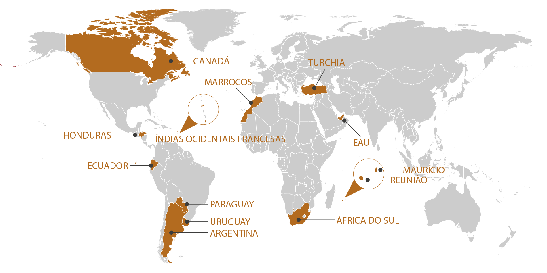 RGIS_FRANCHISE_WORLD_IT_1125. RGIS Franchise